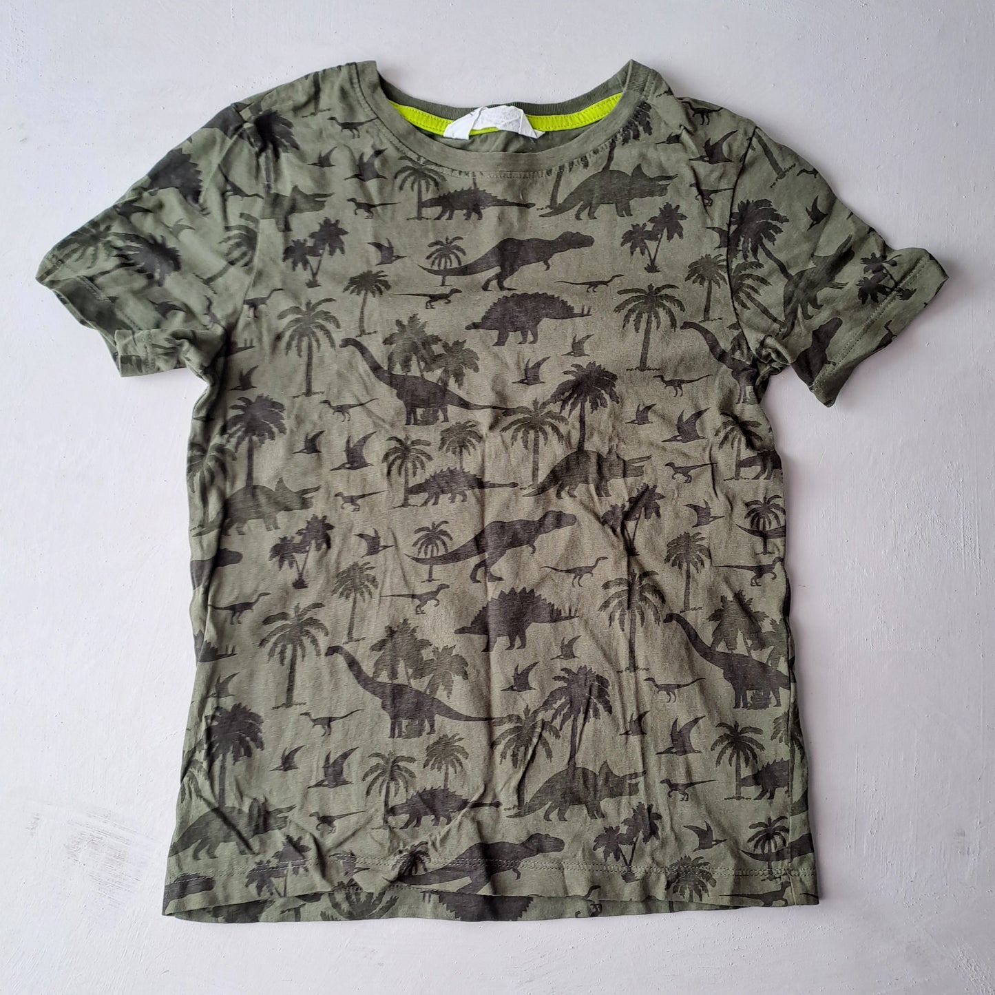 Kids Dinosaur Green Size 134/140