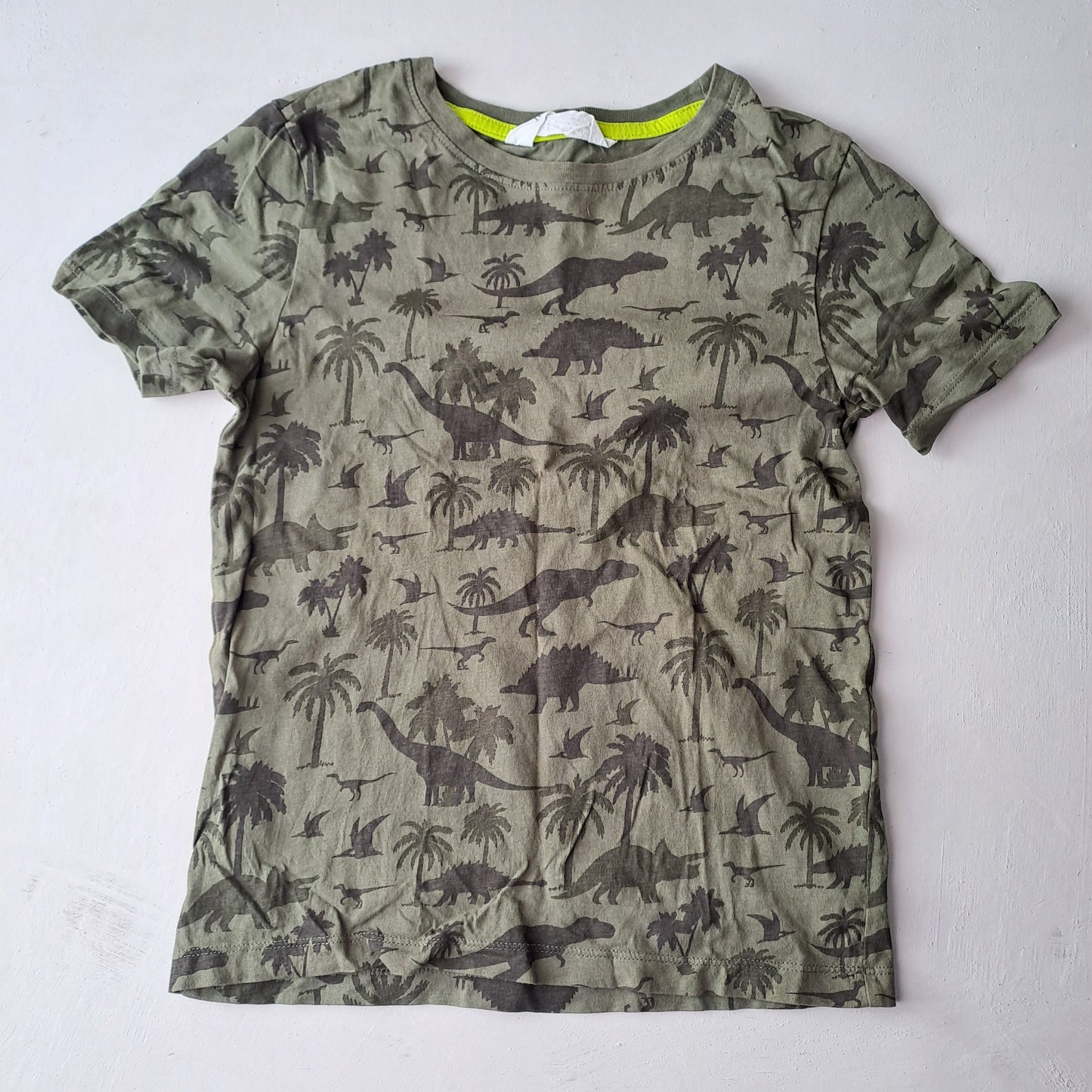 Kids Dinosaur Green Size 134/140