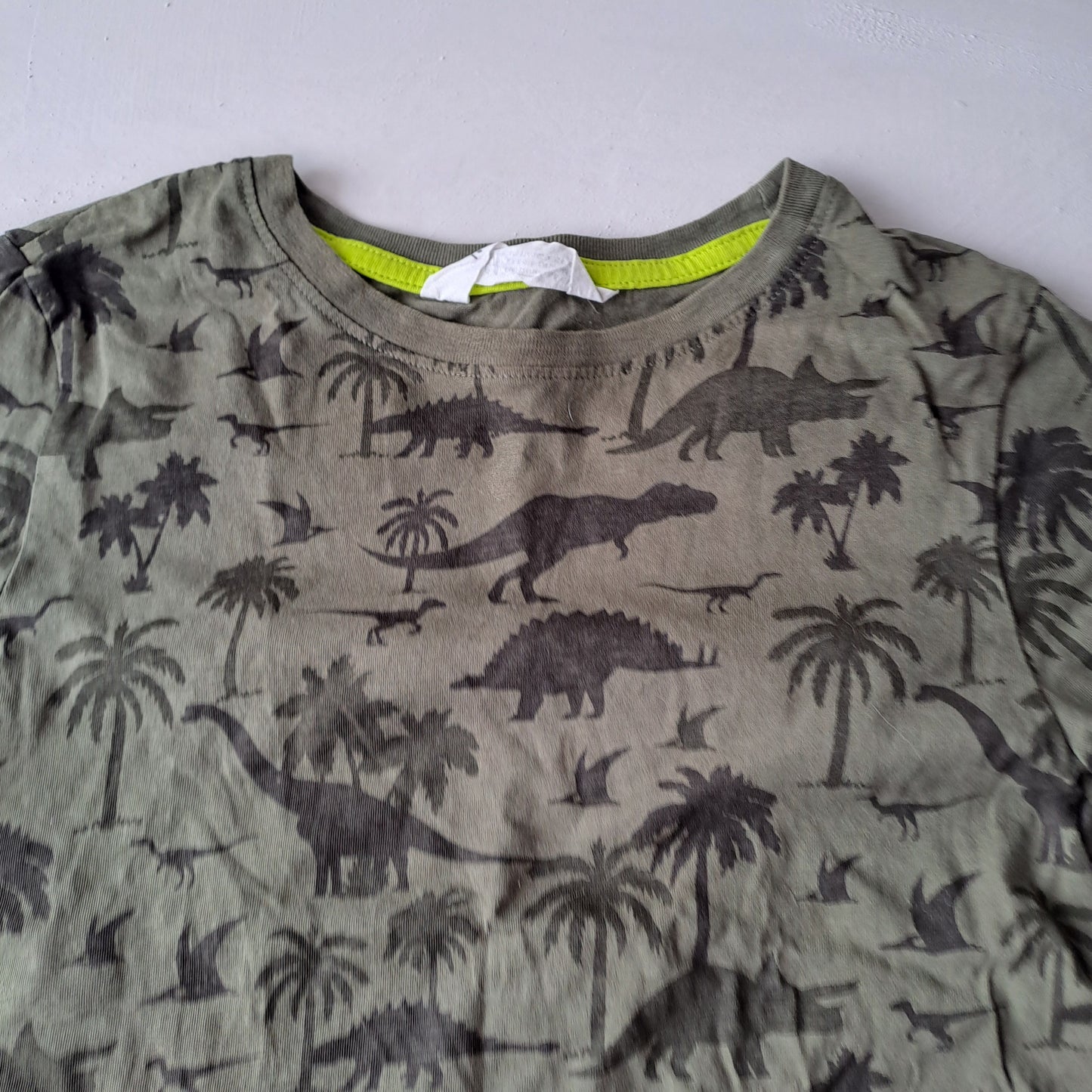 Kids Dinosaur Green Size 134/140