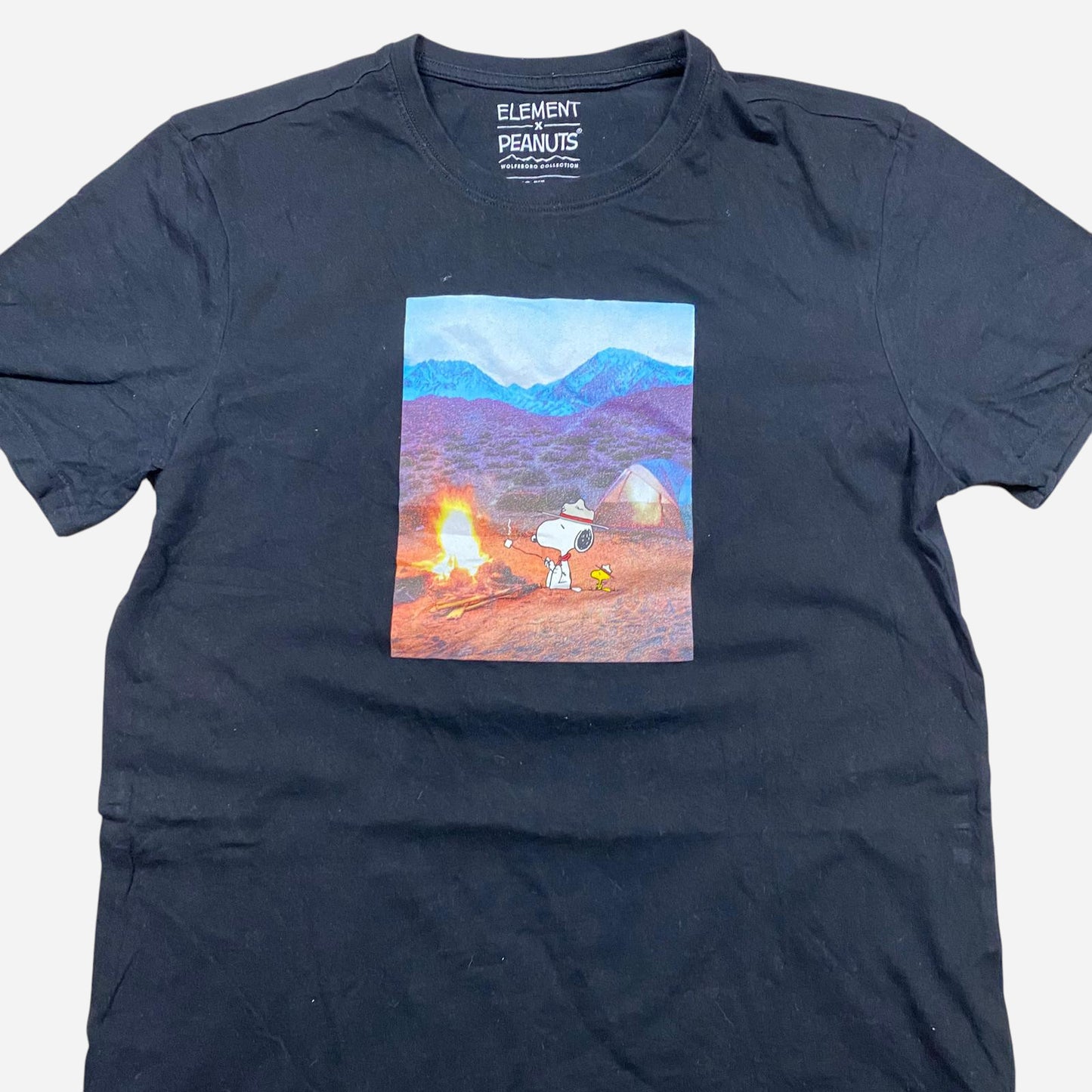 ELEMENT & PEANUTS Unisex T-Shirt Size M