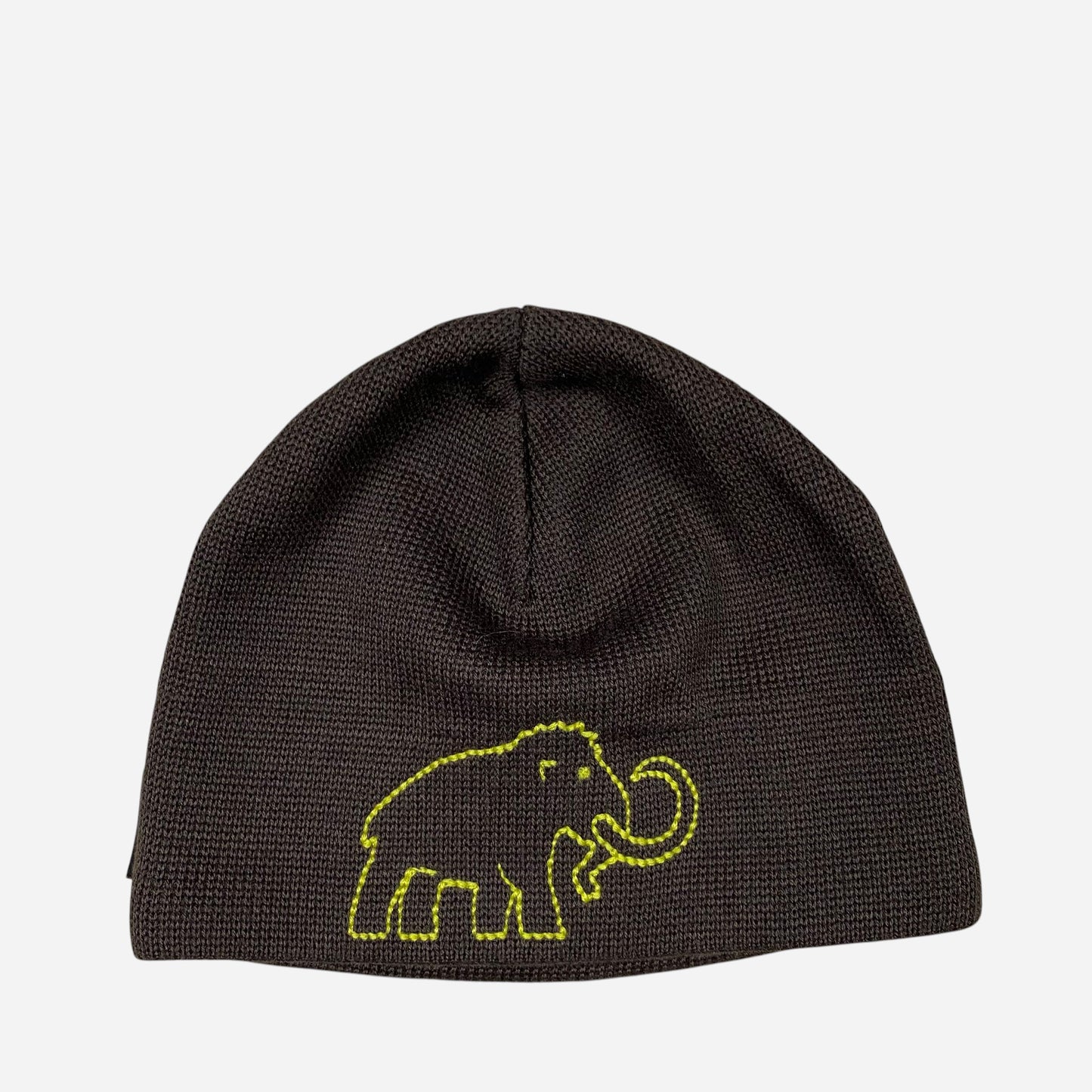 MAMMUT Meeste Müts Beanie