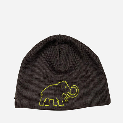 MAMMUT Meeste Müts Beanie